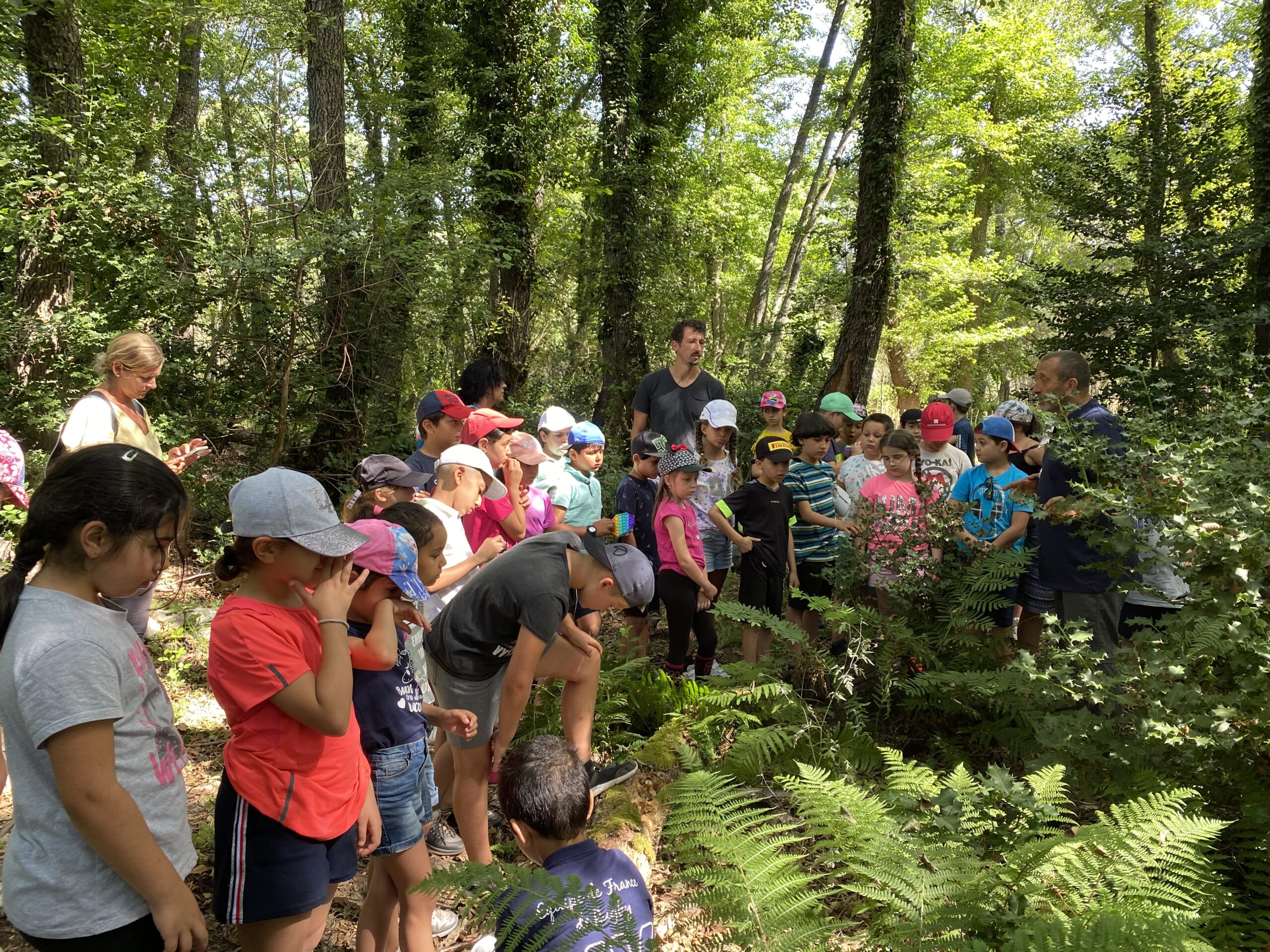 eco parc enfants