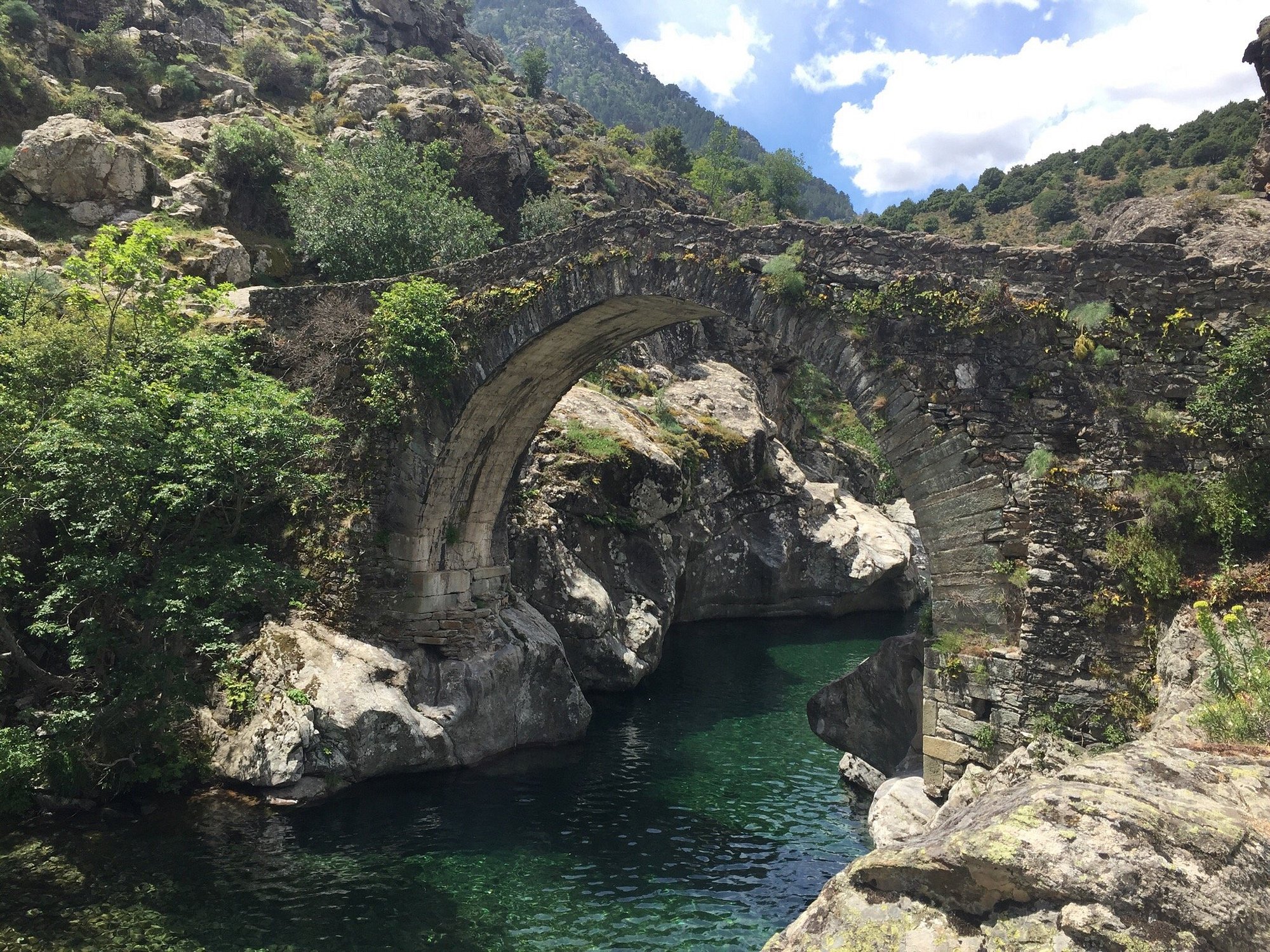 pont genois asco