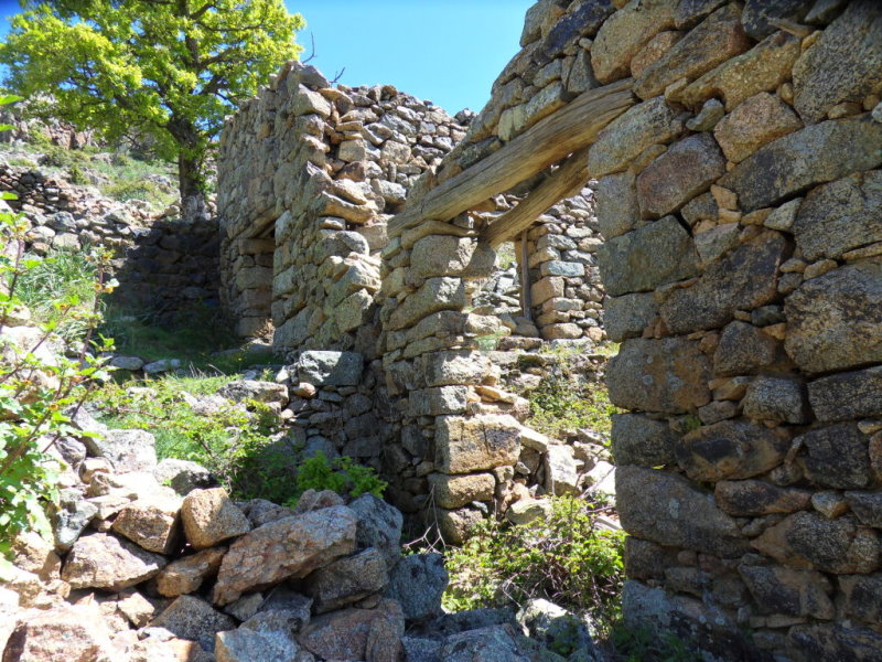 sepula